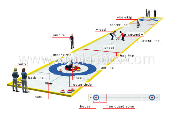 Land Curling Sheet Land Curling Sheet